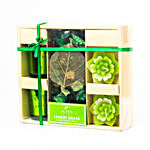 Home Fragrance Decorative Gift Hamper- Lemongrass