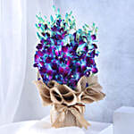 Gorgeous Blue Orchids Arrangement