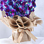 Gorgeous Blue Orchids Arrangement