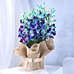Gorgeous Blue Orchids Arrangement