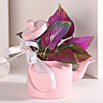 Colorful Money Plant Medley in Pink Kettle