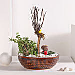Jade and Echeveria Plant Harmony