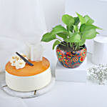 Joyful Money Plant & Cake Combo