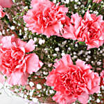 Magical Dust Carnations & Truffle Cake Combo