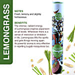 Soothing Incense Sticks Gift Set
