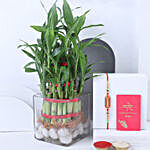 Sneh Meenakari Rakhi with Two-Layer Lucky Bamboo Plant