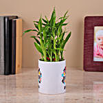 2-Layer Bamboo Plant in a White Ceramic Pot