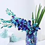 Lovely Orchids & Dandella In Cylindrical Vase