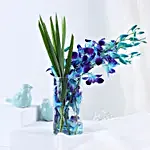 Lovely Orchids & Dandella In Cylindrical Vase