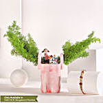 Sneh Designer Rakhi & Asparagus Plant Basket