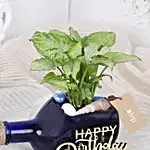 Syngonium Plant In Birthday Antiquity Bottle Planter