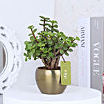 Jade Plant In Gold Tone Metal Pot