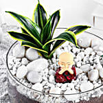 Milt Sansevieria Plant Round Thali Terrarium