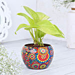 Money Plant In Colourfull Rajwada Printed Pot