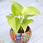 Money Plant In Colourfull Rajwada Printed Pot