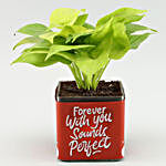 Money Plant In Forever With You Sounds Perfect Sticker Vase