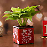 Money Plant In Forever With You Sounds Perfect Sticker Vase