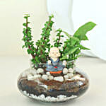 Syngonium N Jade Plant Potpouri Bowl Terrariums