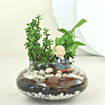 Syngonium N Jade Plant Potpouri Bowl Terrariums