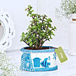 Jade Plant In Sea House Planter