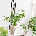 Lazy Gardener Boho Rope Pot Holders- Set of 4