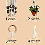 Lazy Gardener Macrame Plant Hanger Combo- Set of 4