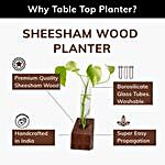 Lazy Gardener Sheesham Test Tube Planter- Set of 2
