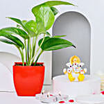 Money Plant Splendour & Diwali Celebration