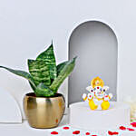 Sansevieria Snake Plant Blessings & Luminous Diwali