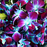 Blue Orchid Blessings Bouquet