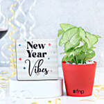 New Year Gift Of Green Promise