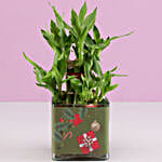 2 Layer Lucky Bamboo Plant Christmas Wishes