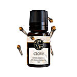 Clove Spice Infusion Essential Oil