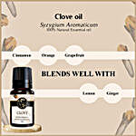 Clove Spice Infusion Essential Oil