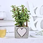 Jade Plant In & Heart Pot