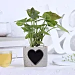 Syngonium Plant & Heart Planter