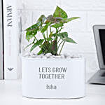 Syngonium Plant In Personalised Grow Together Pot