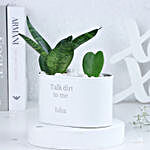 Air-Purifying Love with Snake Plant