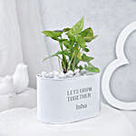 Syngonium Plant In Personalised Grow Together Pot