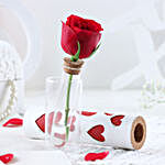 Serene Love Red Rose