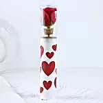 Serene Love Red Rose