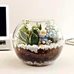 Jade Milt Sansevieria Plant Glass Vase Terrarium