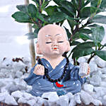Love Grown Bonsai Bliss Plant