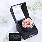 Forever Rose & Kisses Gift Combo