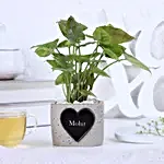 Syngonium Plant Personalised Heart Pot