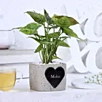 Syngonium Plant Personalised Heart Pot