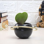 Hoya Plant In Celestial Planet Pot
