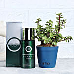Jade Plant & Premium Deodorant Combo