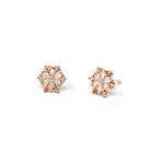 925 Silver Glow Rose Gold Stud Earrings