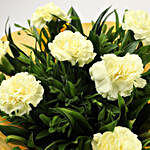 8 Yellow Carnations Bouquet- Small